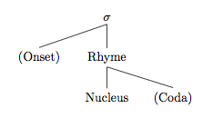 The syllable σ and its constituents